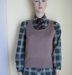 Vintage Check Shirt, Dame Vivienne Westwood says Wear aTtowel