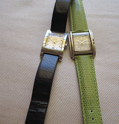 Change a Watch Strap
